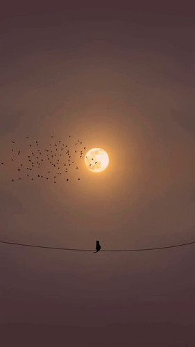 axKqTfdyb9cCVu m.jpg