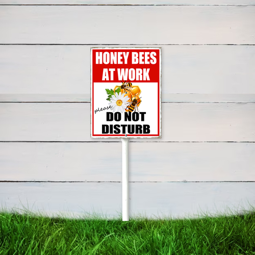22 mijfhs03sd0408vew 7.png