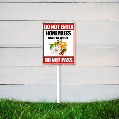 22 mijfhs03sd0408vew 9.png