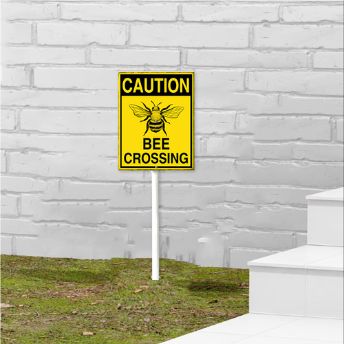 44 mijfhs03sd0408vew 2.png