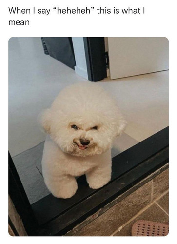 download.jpg