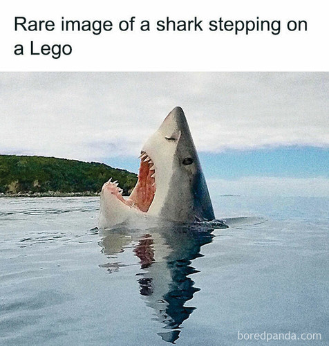 share img 90.jpg