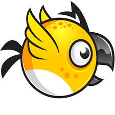 ibird 2.jpg