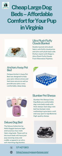 Cheap Large Dog Beds – Affordable Comfort for Your Pup in Virginia.jpg