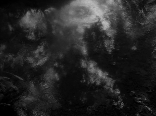 vlcsnap 2025 04 08 19h06m54s120.png