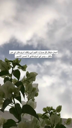 uu mKweNU5j3v4 o.jpg