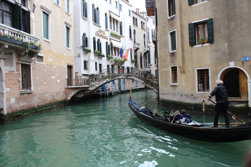 IMG 1384.jpg