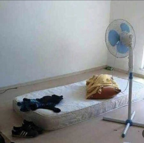 Gn laMRXMAAaGkH.jpg