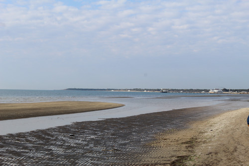 IMG 1169.jpg