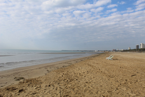 IMG 1159.jpg