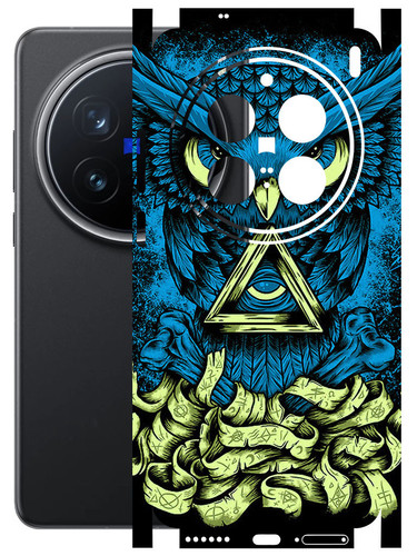 Vivo X200 Pro (5G) BlueOwl.jpg