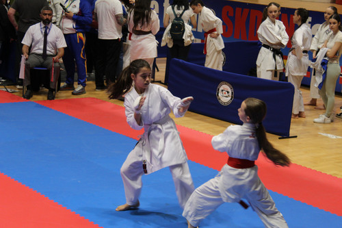 IMG 1235.jpg