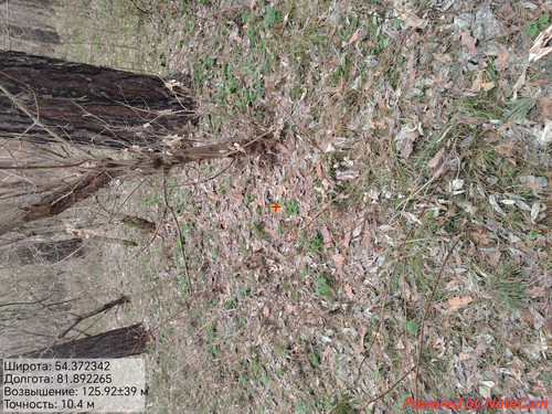 1000175231.jpg