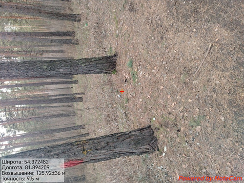 1000175224.jpg