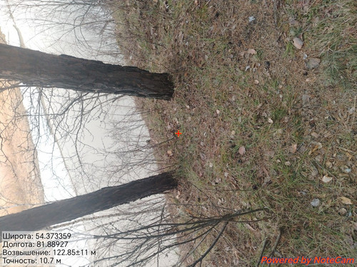 1000175165.jpg