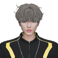96384ee3805a.png