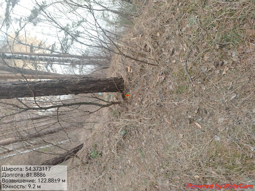 1000175175.jpg