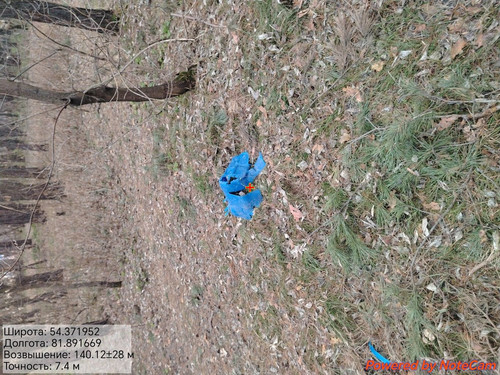 1000175325.jpg