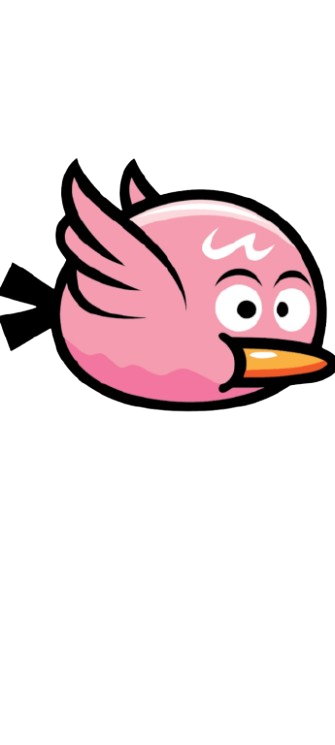 1000039319.png