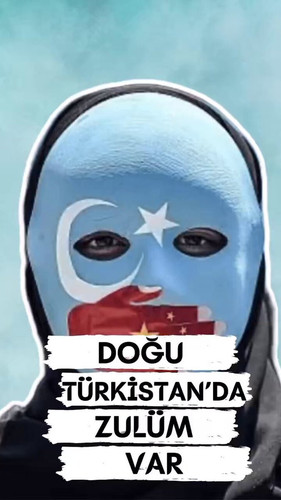 RF3fa8DetWIRsOJH.jpg