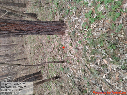 1000175242.jpg