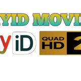20250208 042917