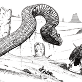 serpente