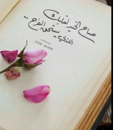 Gn C53yWIAAQWqp.jpg
