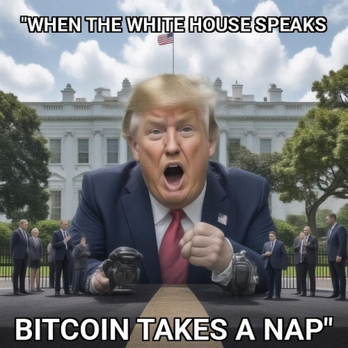 a235171b 3b47 4506 96e4 49d4aae41d8f.jpg