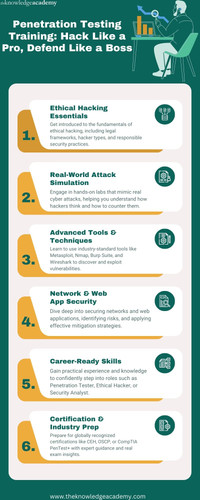 Penetration Testing Training Hack Like a Pro, Defend Like a Boss.jpg