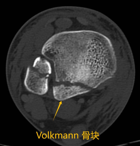 IMG 20250407 202947.jpg