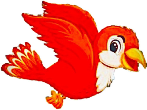 IMG 4528.jpg