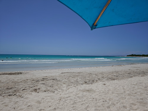 IMG 20240720 112829.jpg
