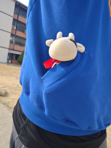 IMG 20240329 161636.jpg