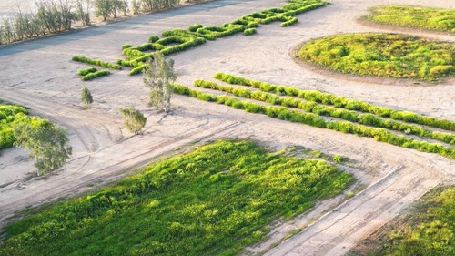 mT qFeSk5KQF1p0L.jpg