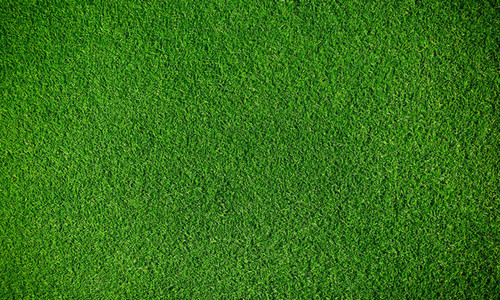 360 F 250085110 HYTva7n4e9DGnangPa2hZZUZfj3pVAIc.jpg