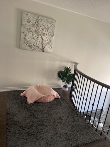 BA4B30BC 461D 43C1 A0D3 F583BEB21FCD.jpg