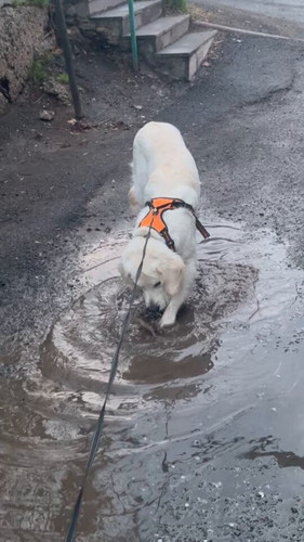 1Wesj iERDnBSPsp.jpg