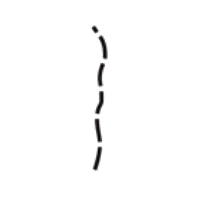 Stig.png