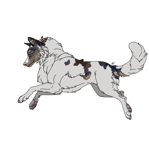 1000003383.png