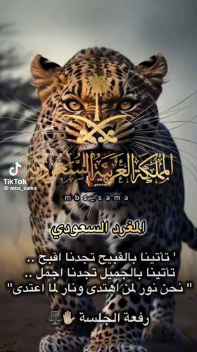BMlMj65g8hzGq06Q.jpg