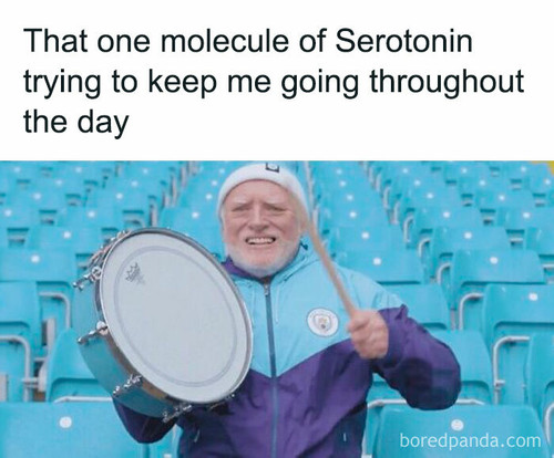 i speak fluent sarcasm funny memes 13 67f3e0aade0b8 700.jpg