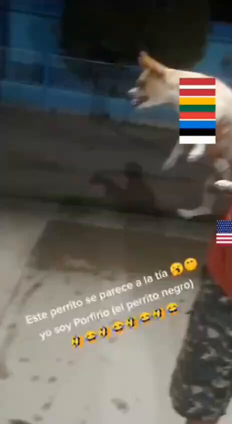 BclroVbOjr7IIQl5.jpg