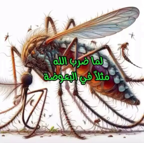 qaWFu9gltgDVUEeQ.jpg