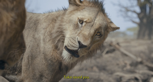 6WBYf.png