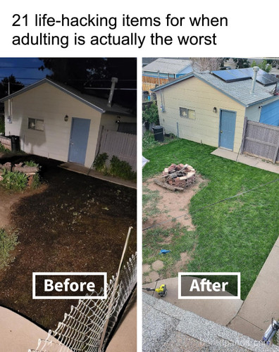this is how you nail adulthood.jpg