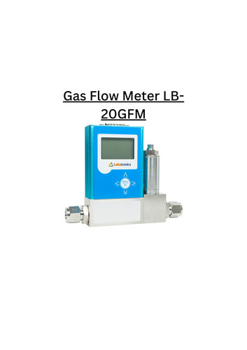 Gas Flow Meter LB 20GFM.jpg