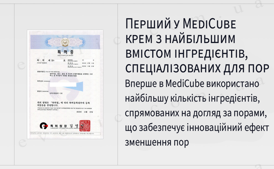 13 копия