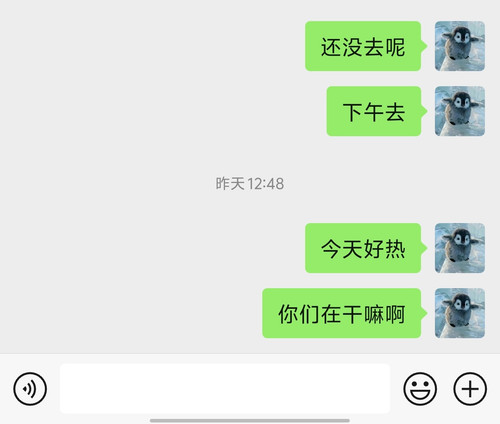 Screenshot 20250408 154225.jpg