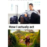 travel meme 15.png